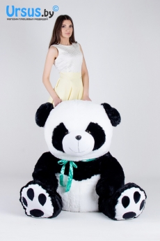 Панда с лентой